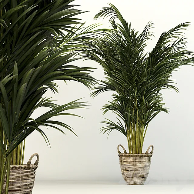 Office Chart 3DModel