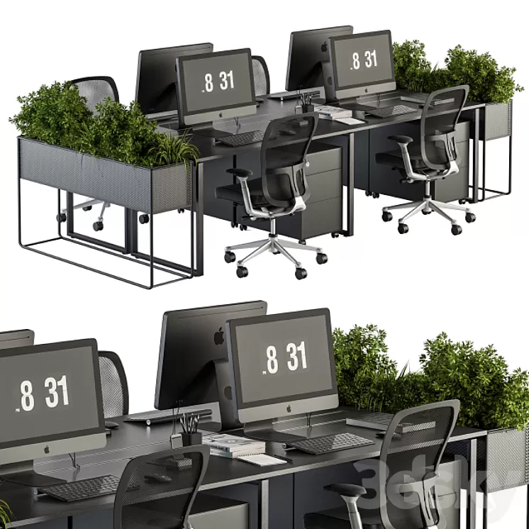 Office Furniture - employee Set - Plants Box Divider 34 3D Model
