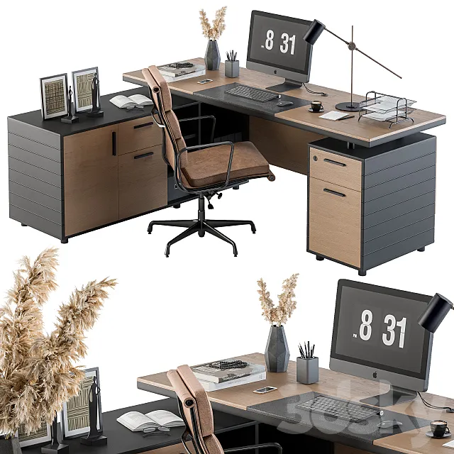 Office Furniture - Manager Set 06 3DModel