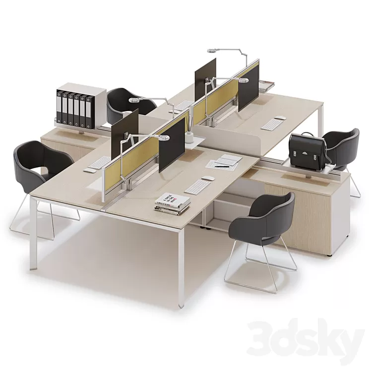 Office workspace LAS 5TH ELEMENT (v4) 3D Model