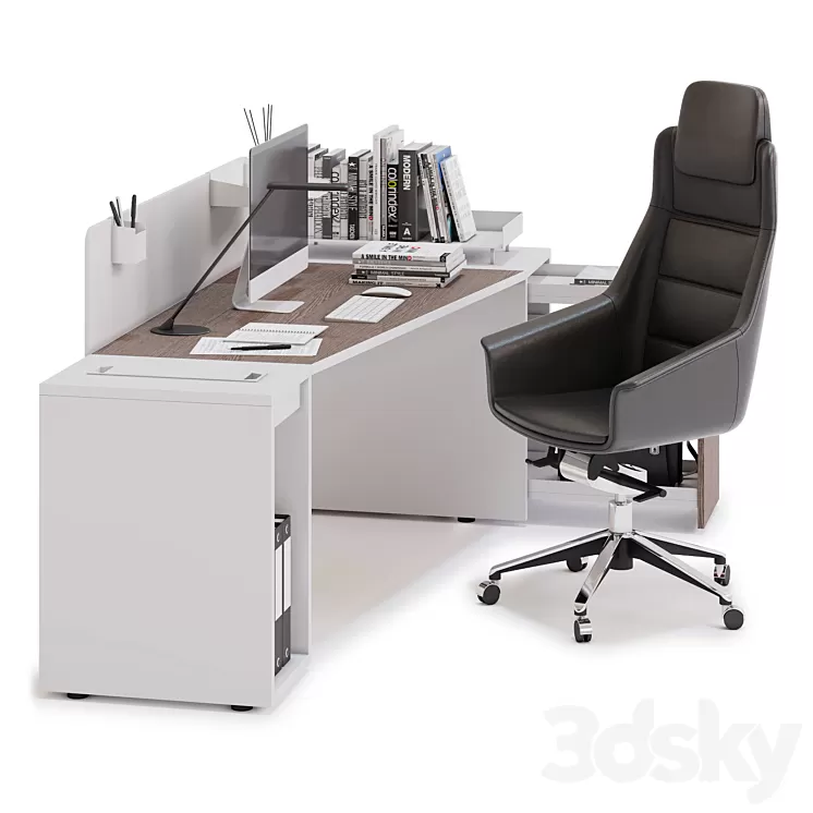 Office workspace LAS LOGIC (v9) 3D Model
