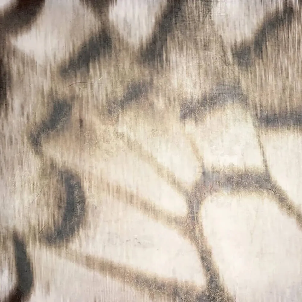 Officinarkitettura - Wallpaper Butterfly 2 3D Model