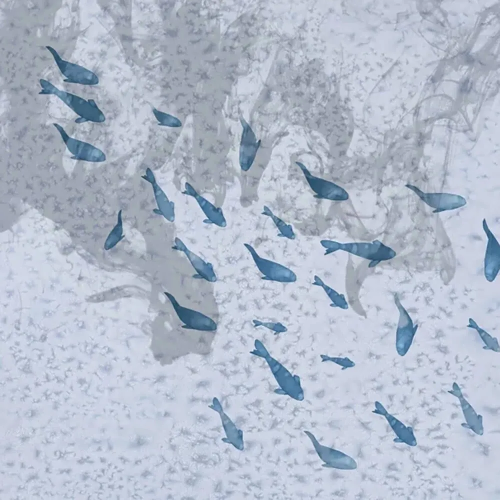 Officinarkitettura - Wallpaper Fish 3D Model