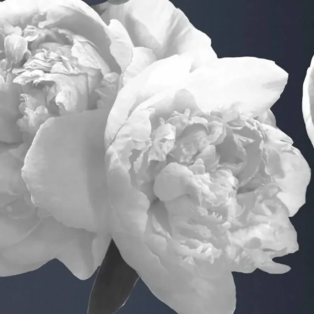 Officinarkitettura - Wallpaper Instant God 3D Model