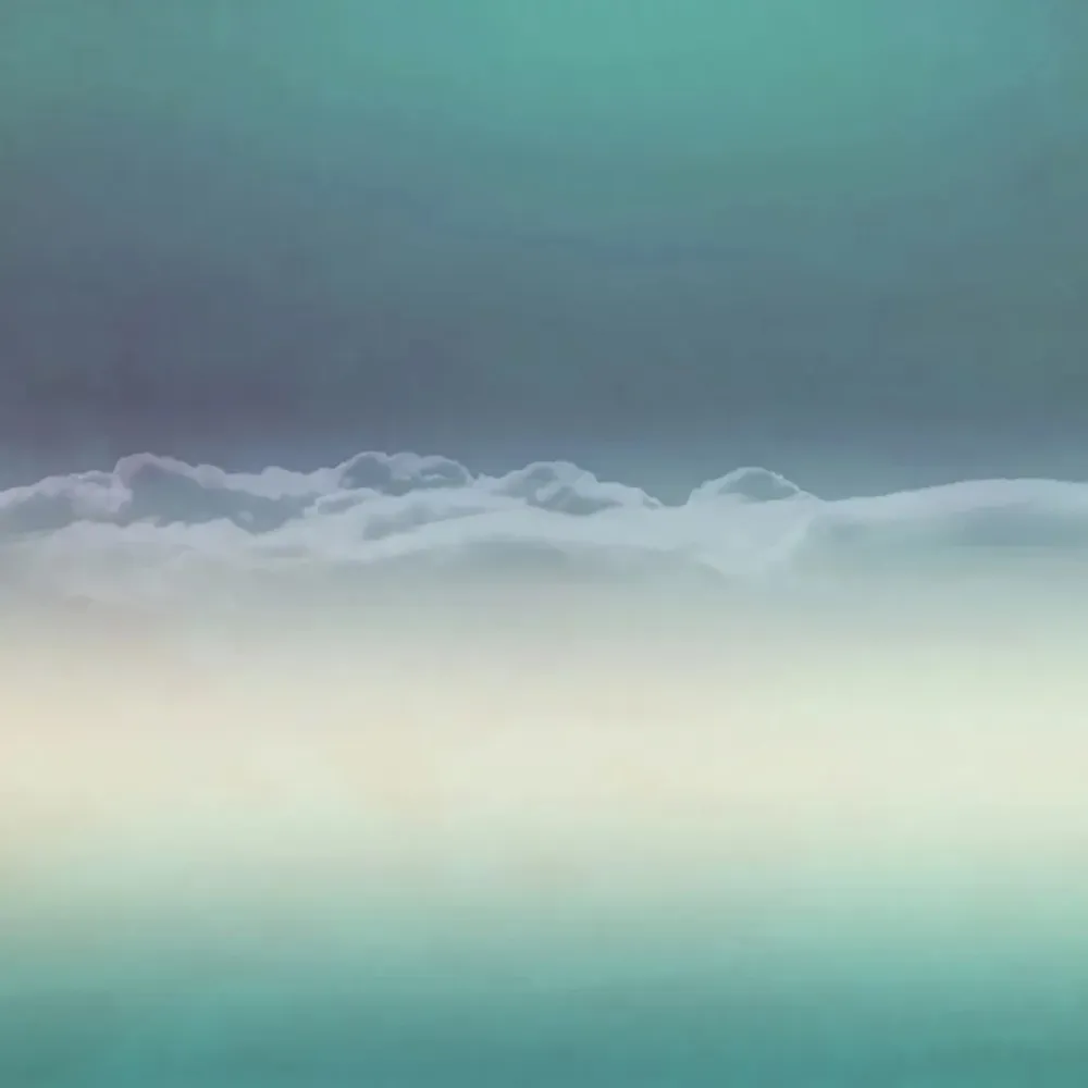 Officinarkitettura - Wallpaper Not Here 3D Model