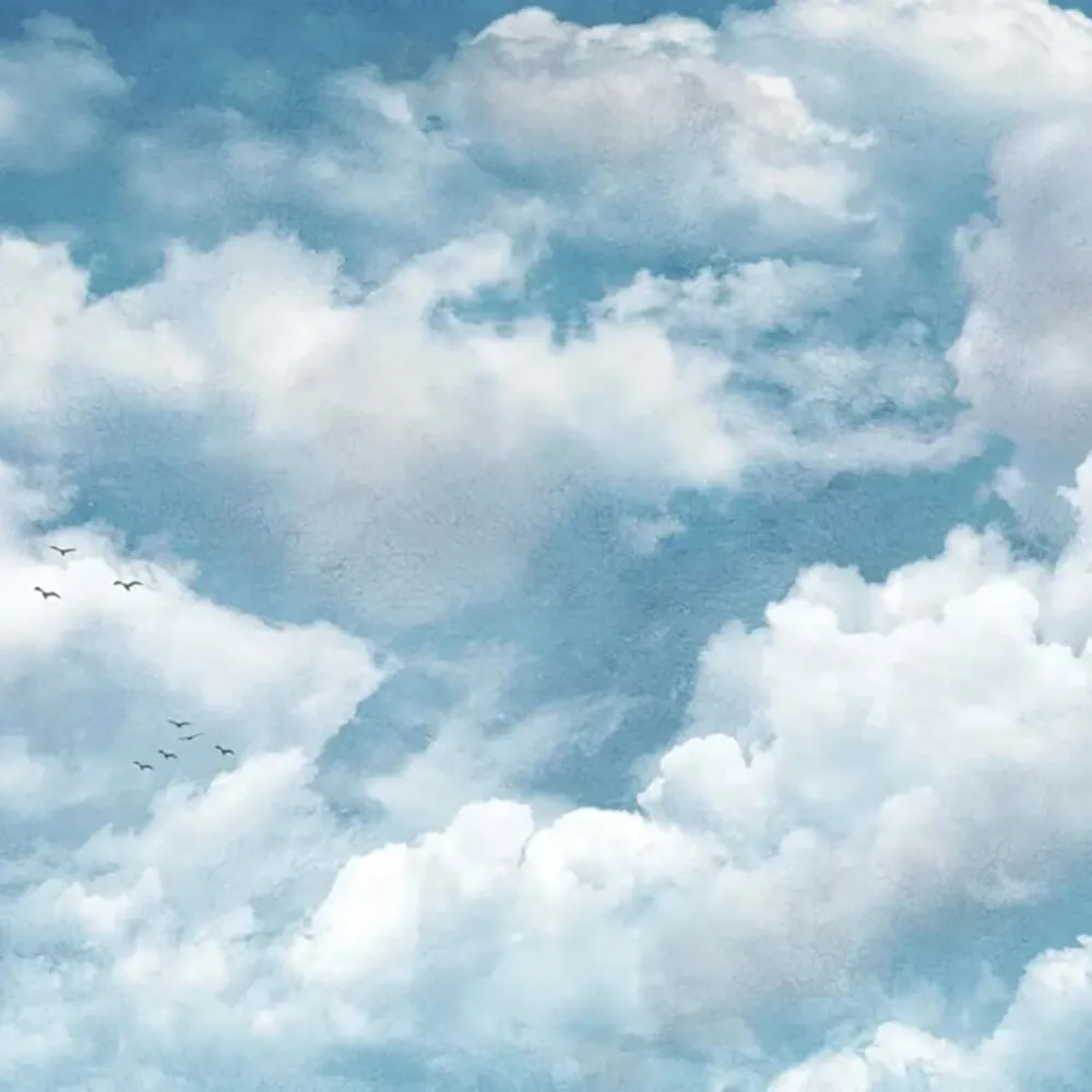 Officinarkitettura - Wallpaper Painting Clouds 3D Model