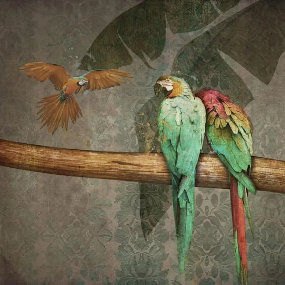 Officinarkitettura - Wallpaper Parrots 3D Model