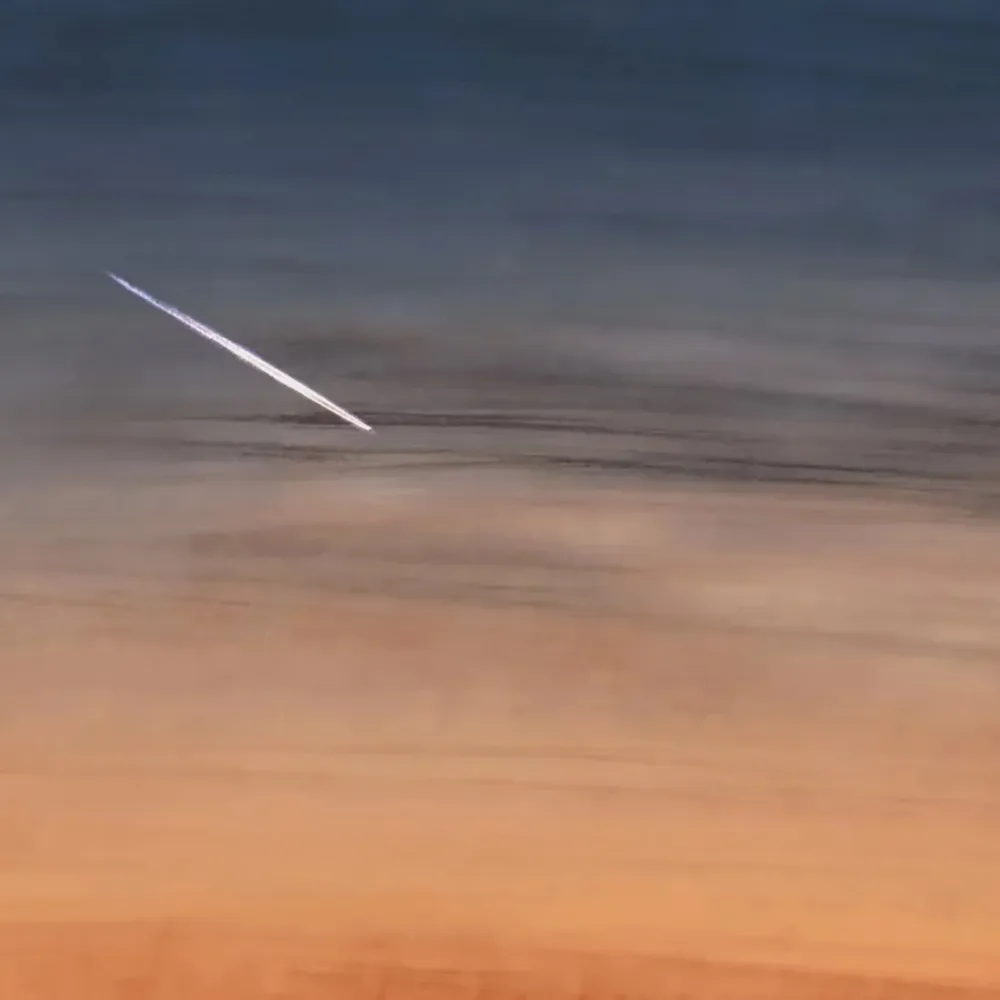 Officinarkitettura - Wallpaper Plane Trial 3D Model