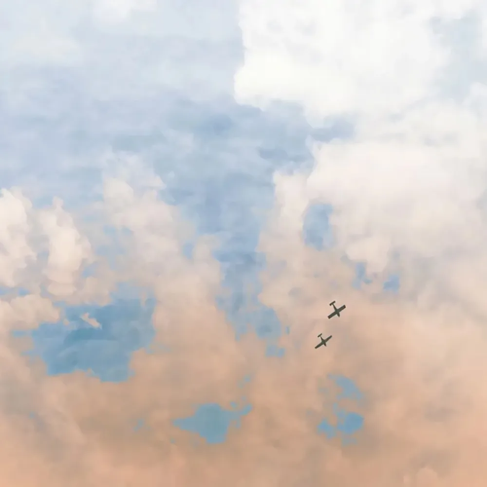 Officinarkitettura - Wallpaper Planes 3D Model