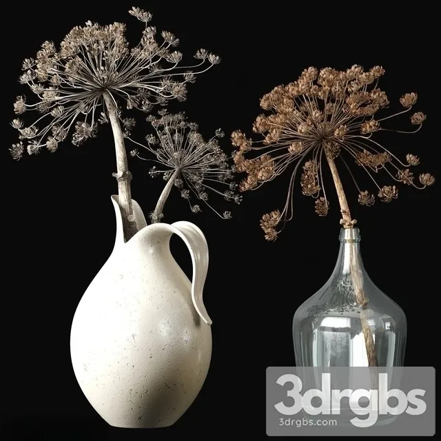 Old heracleum 2 3D Model Free
