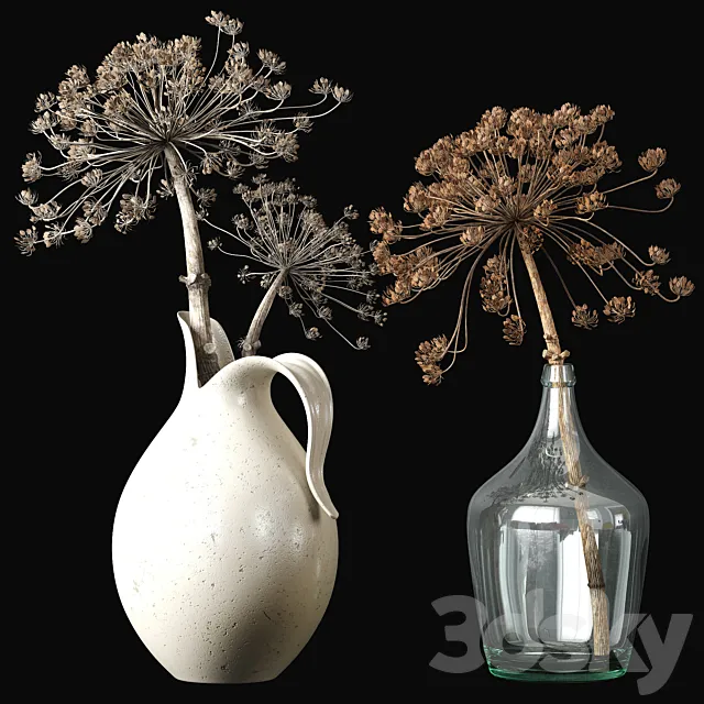 Old heracleum 2 3D Model