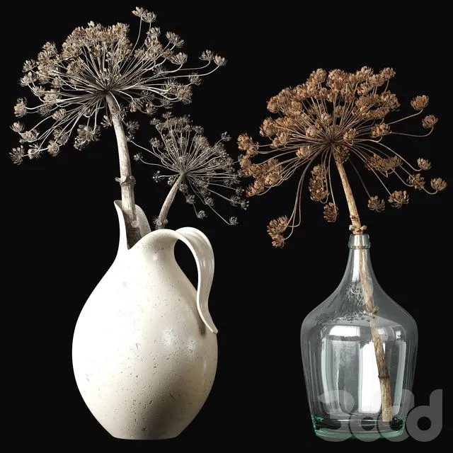 Old heracleum 2 dry bouquet 3D Model