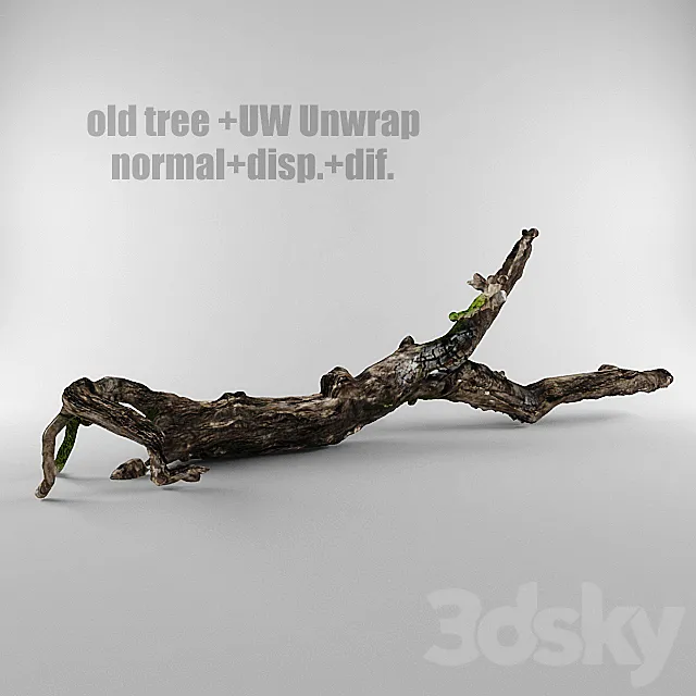 old tree 3DModel