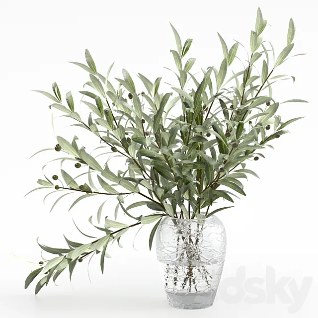 Olive branches in a vase 3D Model