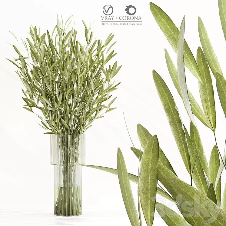 Olive In Dina Fluted Glass Vase 3D Model Free