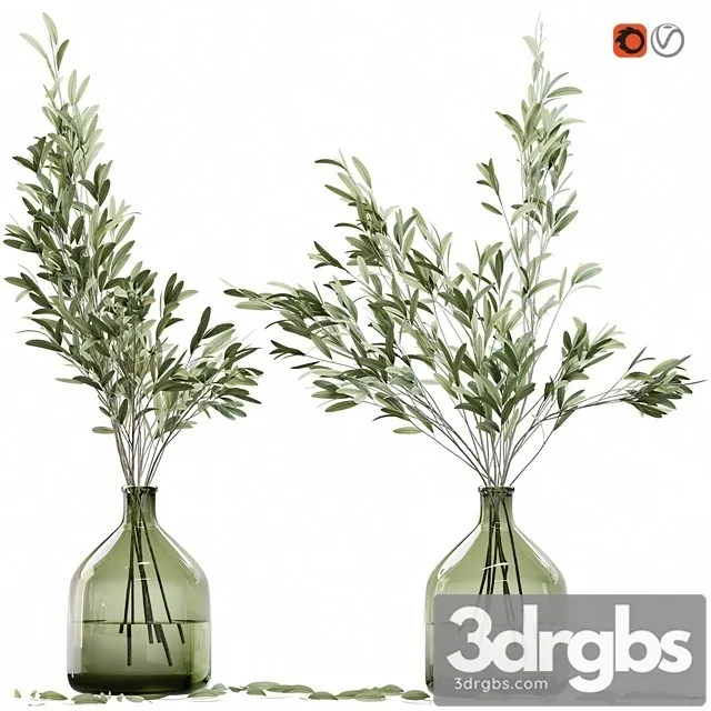 Olive Stems in Glass Vase with Water 3D Model Free