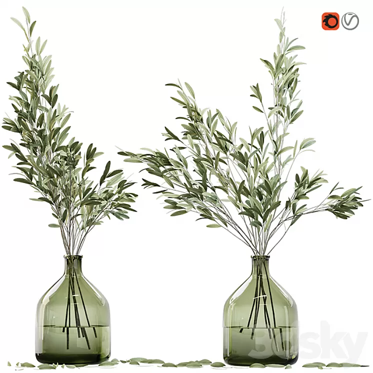 Olive stems in glass vase with water 3D Model