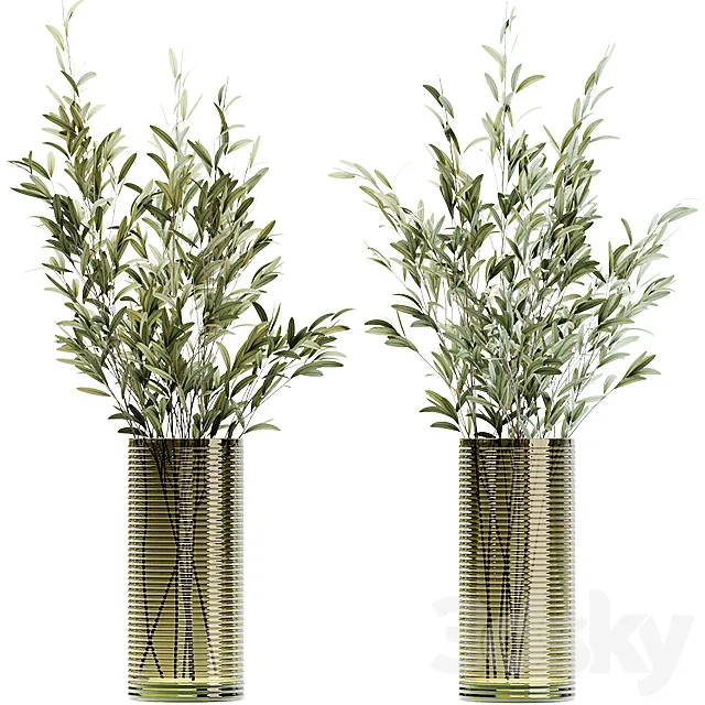 Olive stems in simple glass ribbed vase 3DModel