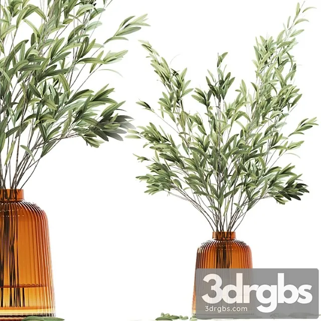 Olive Stems in Yellow Glass Vase with Water 3D Model Free