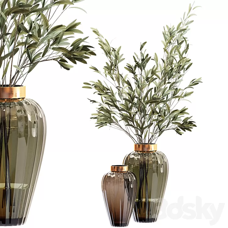 Olive stems in zara glass vase with water 3D Model