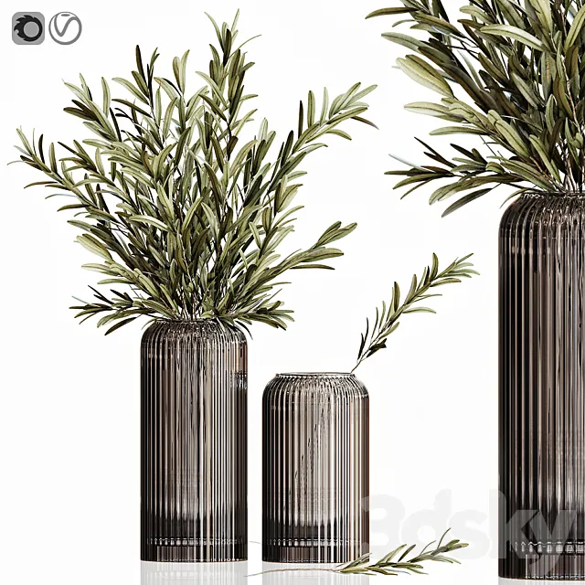Olives in vases 3 3DModel