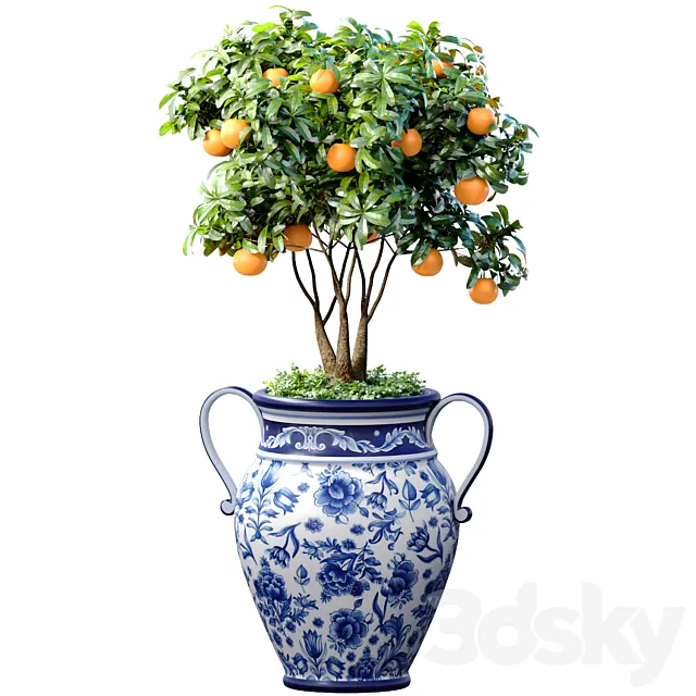Orange Tree in an Italian vase. Ornamental Citrus Indoor plant 3D Model
