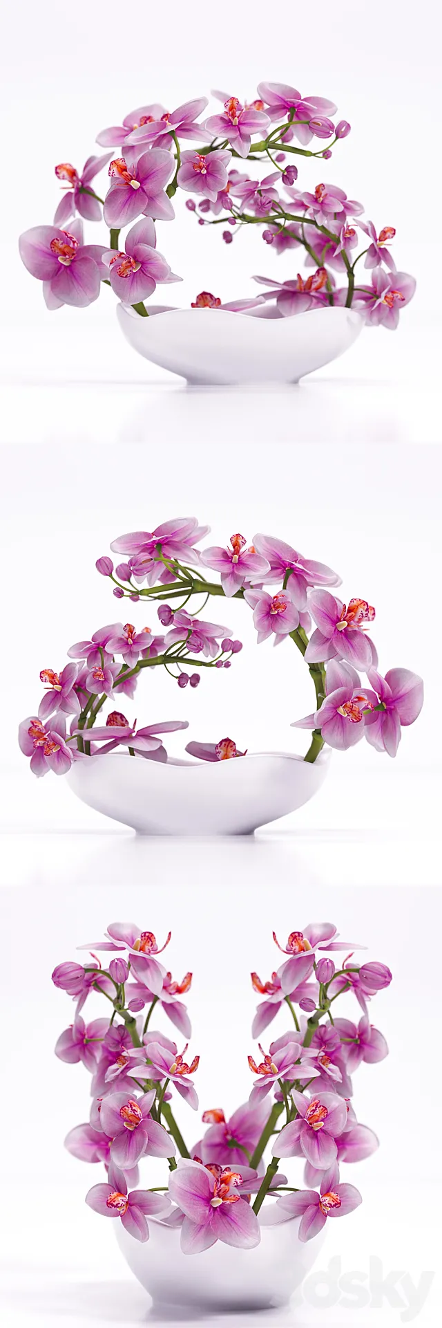 ORCHID 3 3D Model