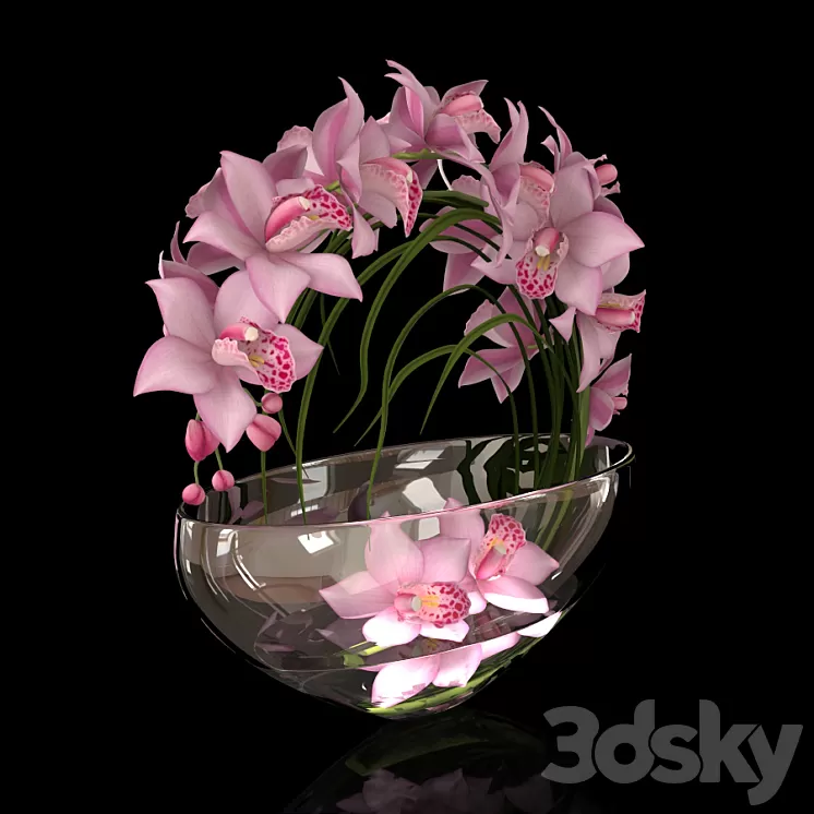 orchid 3D Model