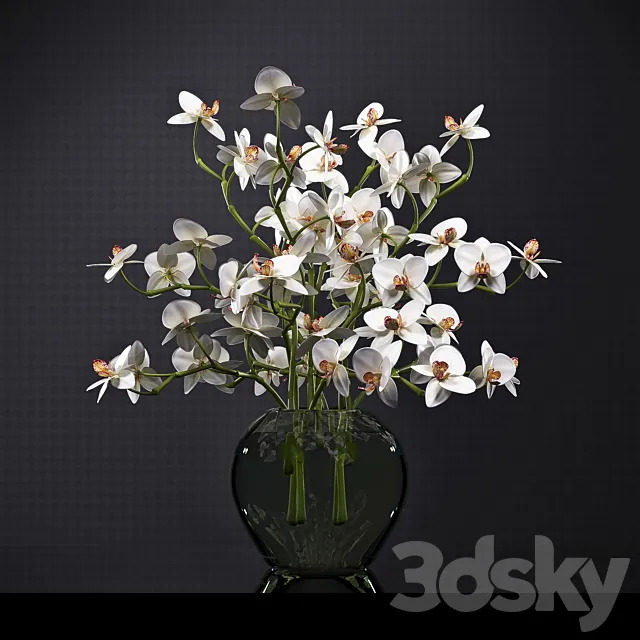 ORCHID 3D Model