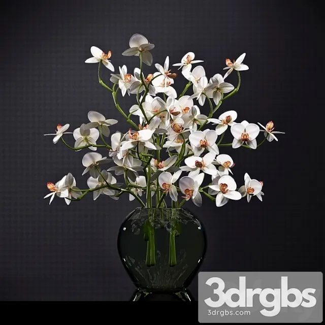 Orchid 6 3D Model Free
