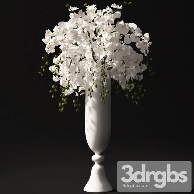 Orchid Bouquet 2 3D Model Free