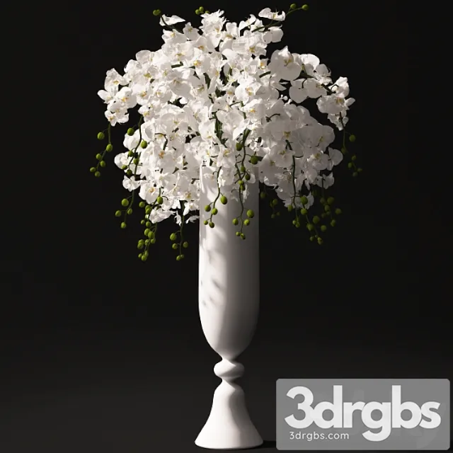 Orchid Bouquet 22 3D Model Free