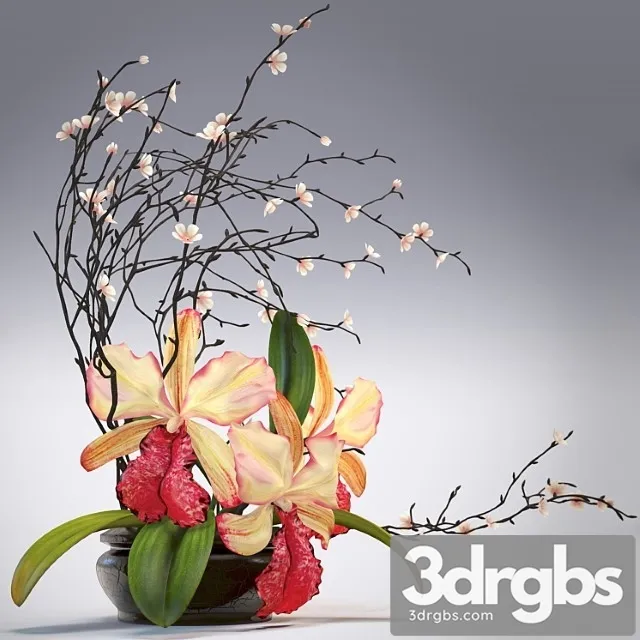 Orchid Composition 3D Model Free