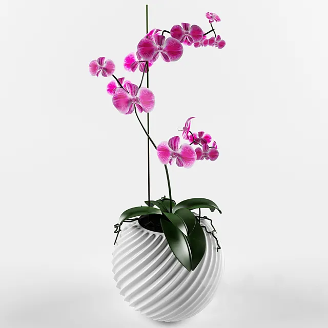 Orchid flower vampire 3DModel