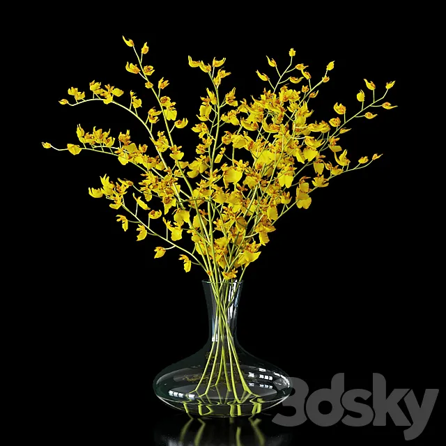 Orchid oncidium 3DModel