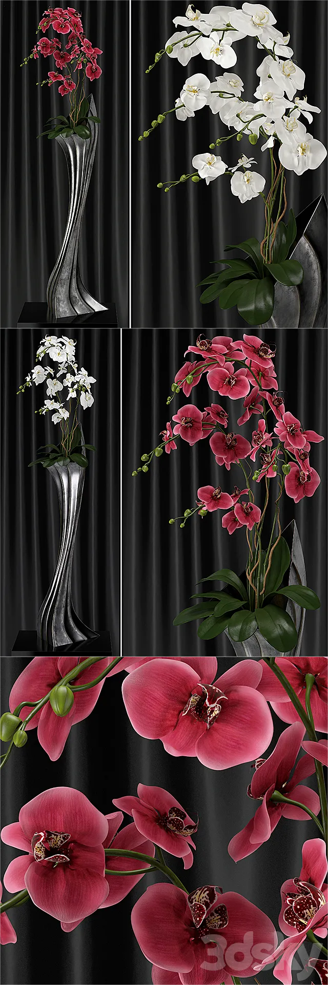 Orchid (phalaenopsis) bouquet 2 3D Model