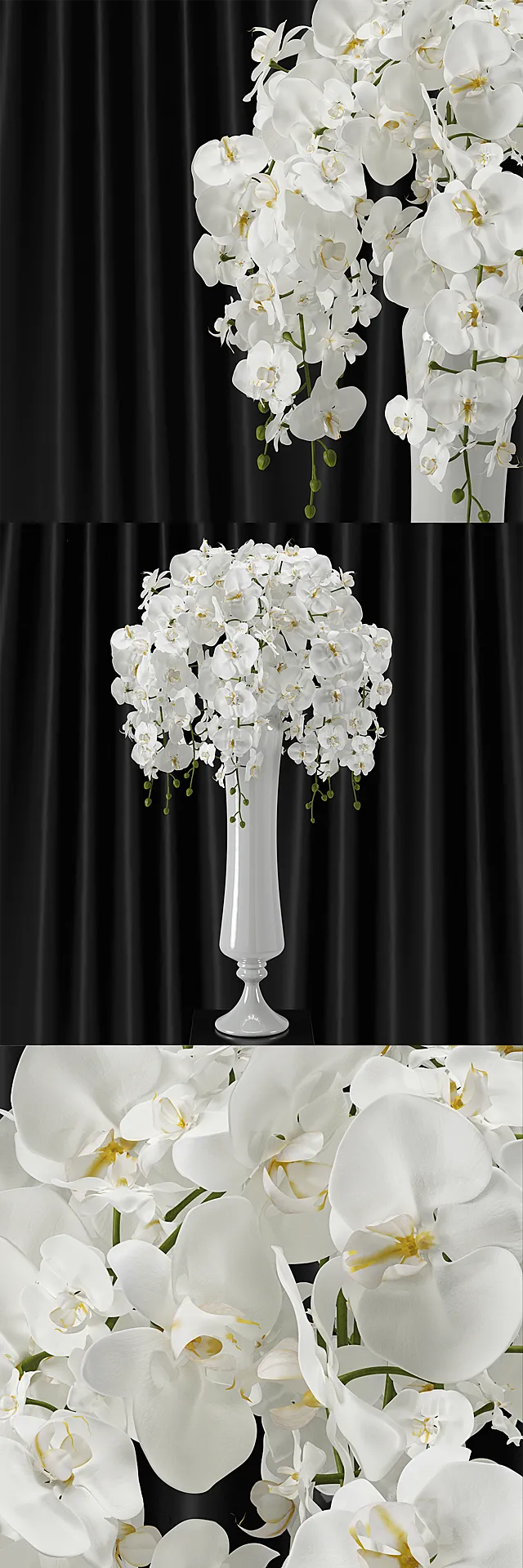 Orchid (phalaenopsis) bouquet 3DModel