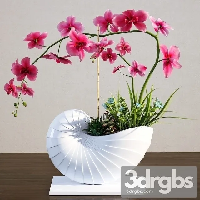 Orchidea Bouquet 3D Model Free