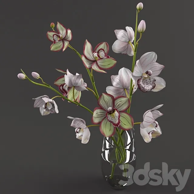 Orchids 3D Model