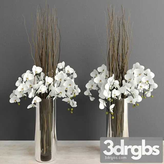 Orchids With Willow Branches 3D Model Free