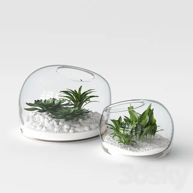 Organic Form Terrariums 3D Model
