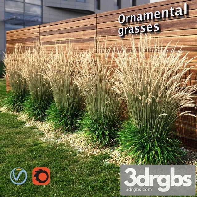 Ornamental Grass Dry 3D Model Free
