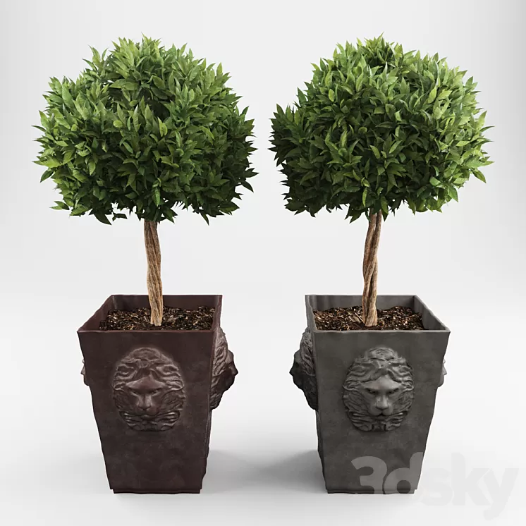 Ornamental trees 2 3D Model