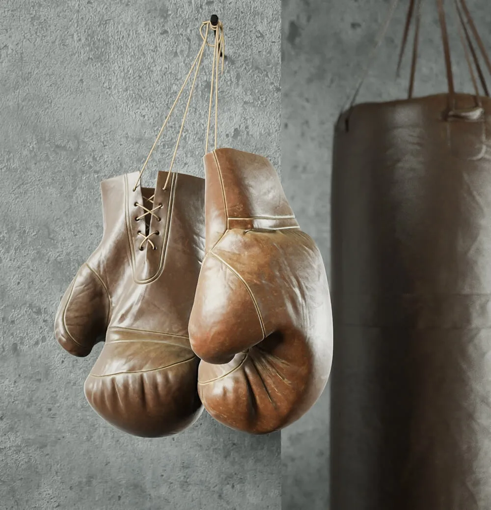 other-models - Boxing equipment 3D Model