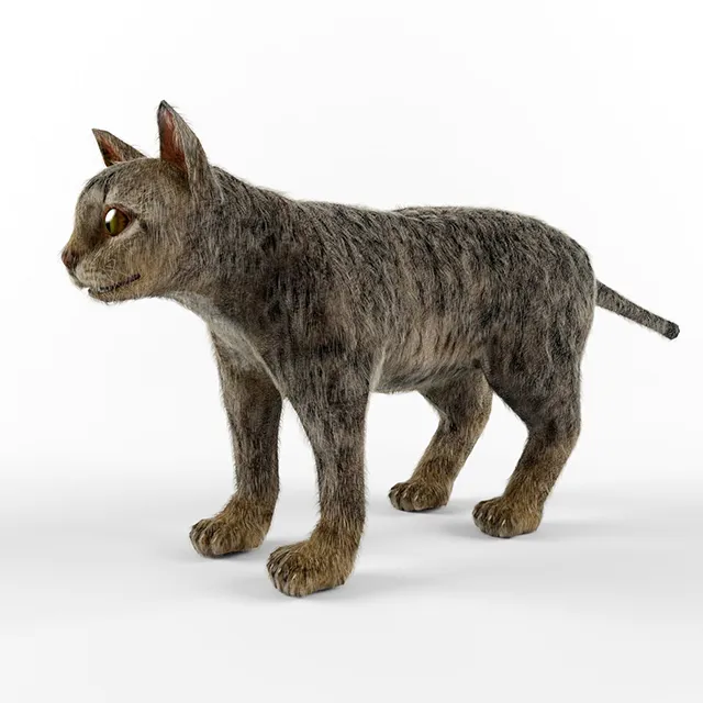 other-models - Cat 3D Model