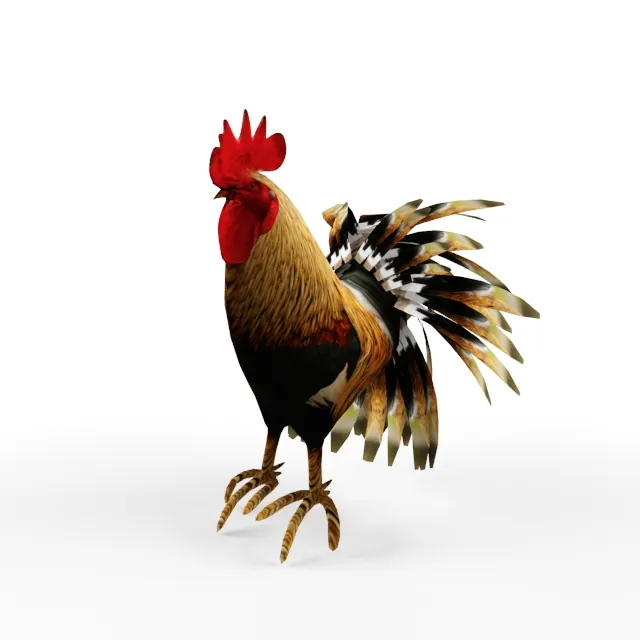 other-models - Cock 3D Model