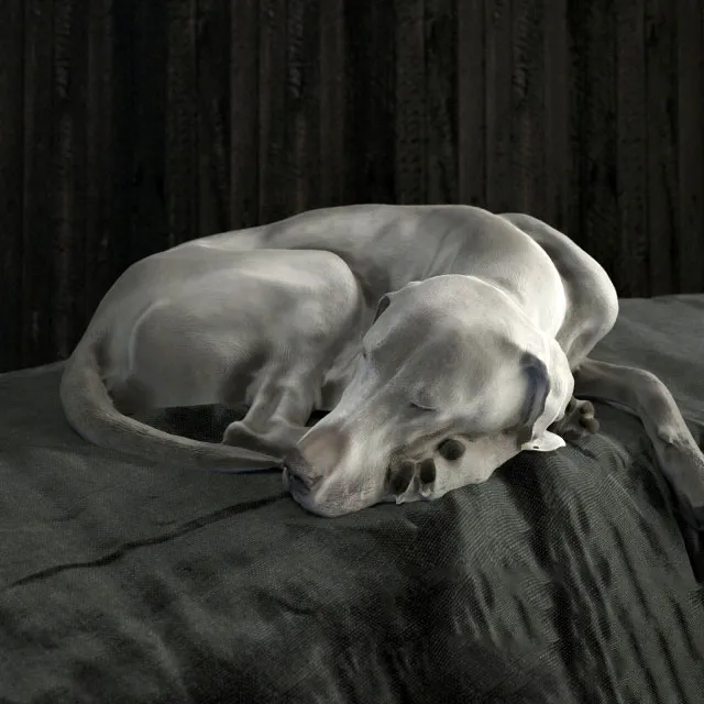 other-models - Dog figurine 3D Model