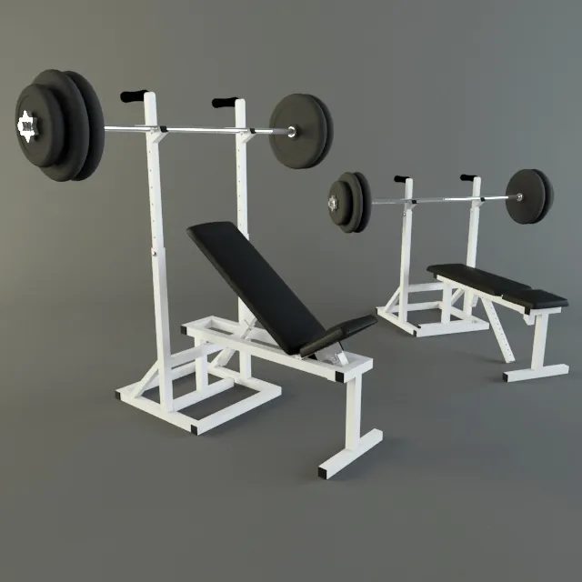 other-models - Home made trainer - Bench press 3D Model