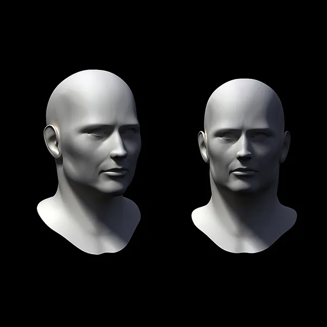 other-models - Man's head 3D Model