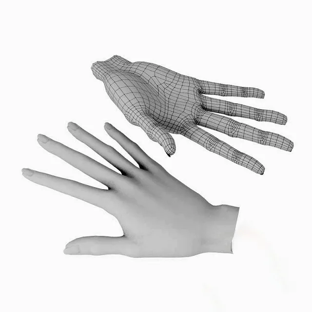 other-models - Woman's hand 3D Model